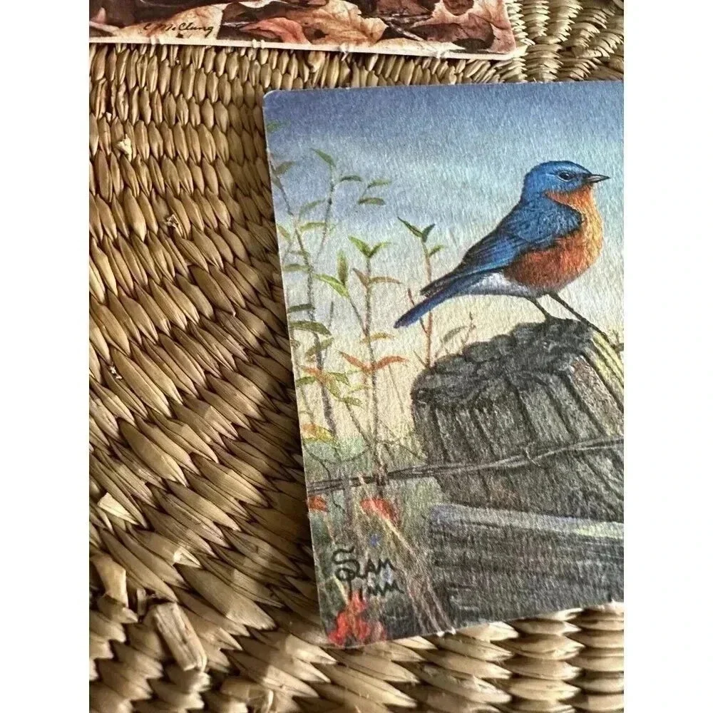 8 Bird paper Coasters